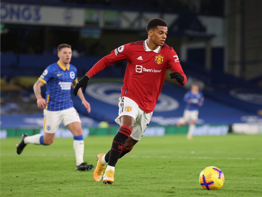 键扑救确保 键扑救确保